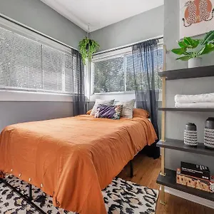Jungle Themed Apt. Close To Coffee, Food + Shops! Tampa